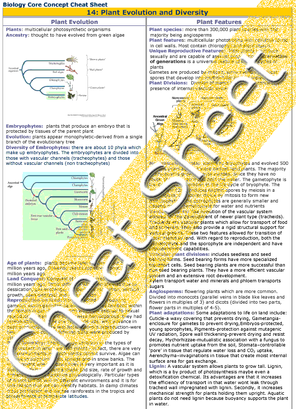 Picture of Infographic of Mathematics of rigidity College Biology: Plant evolution and diversity