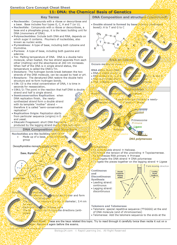 chemical basis of life worksheet answers