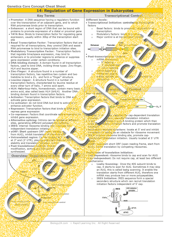 Pogil Activities For Ap Biology Answer Key Control Of Gene Expression In Prokaryotes