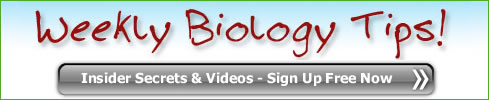 Biology Success Secrets and Rich-Media Study Tips Biology Tips Weekly