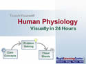 Human Physiology Visually in 24 Hours