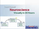 Neuroscience Visually in 24 Hours